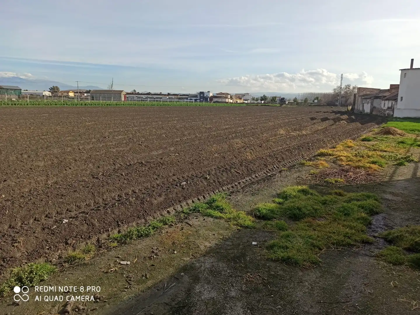 Houses for sale in Fuente Vaqueros  with Private garden