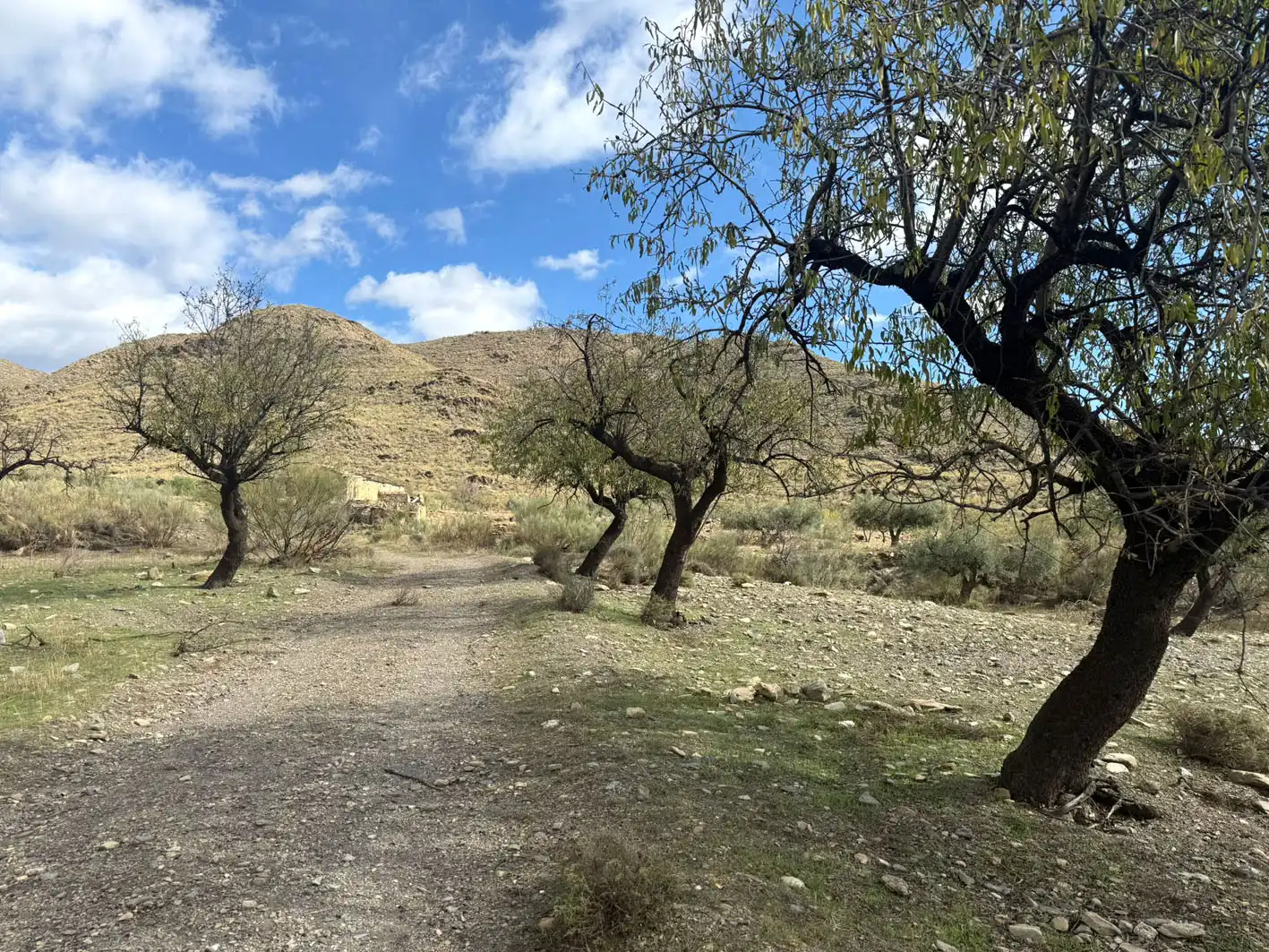 Rural land for sale in Senés, imagen 5