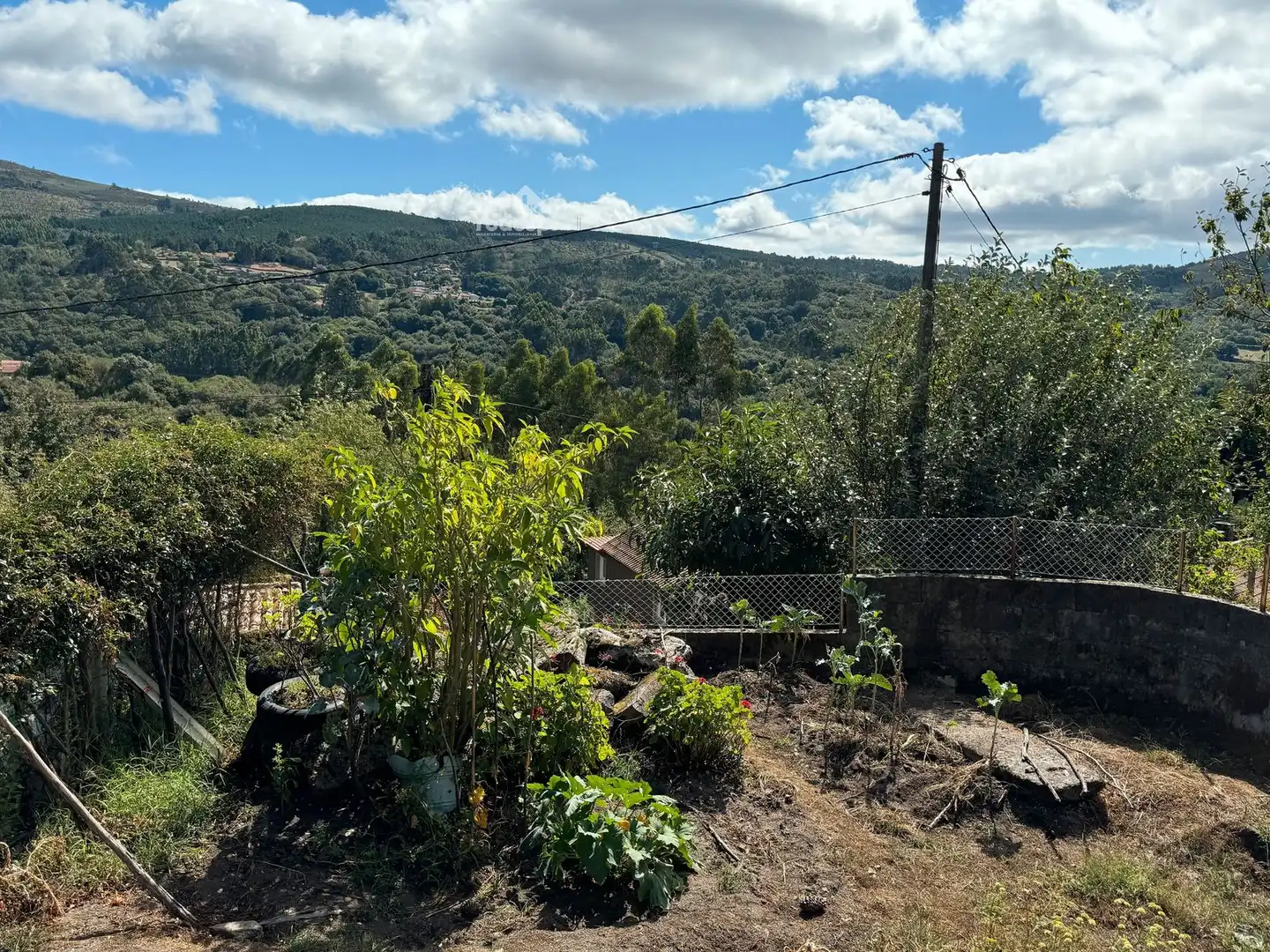 Jardí de Casa o xalet en venda en Covelo