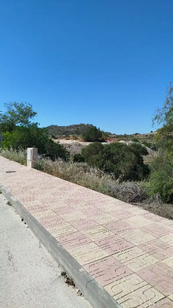 Rustikales Grundstück zum Verkauf in Jacarilla, imagen 6