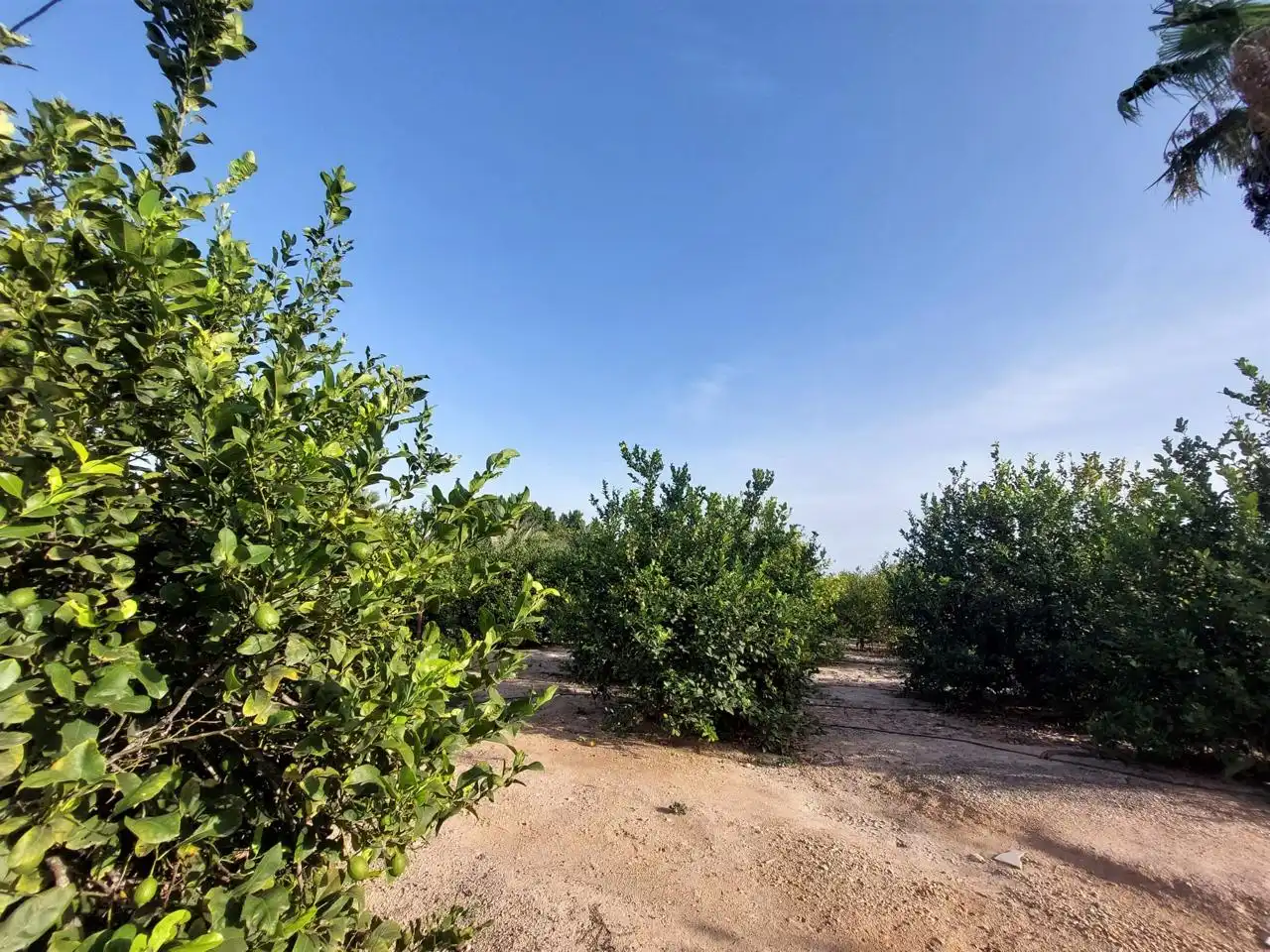 Residencial en venta en Elche / Elx