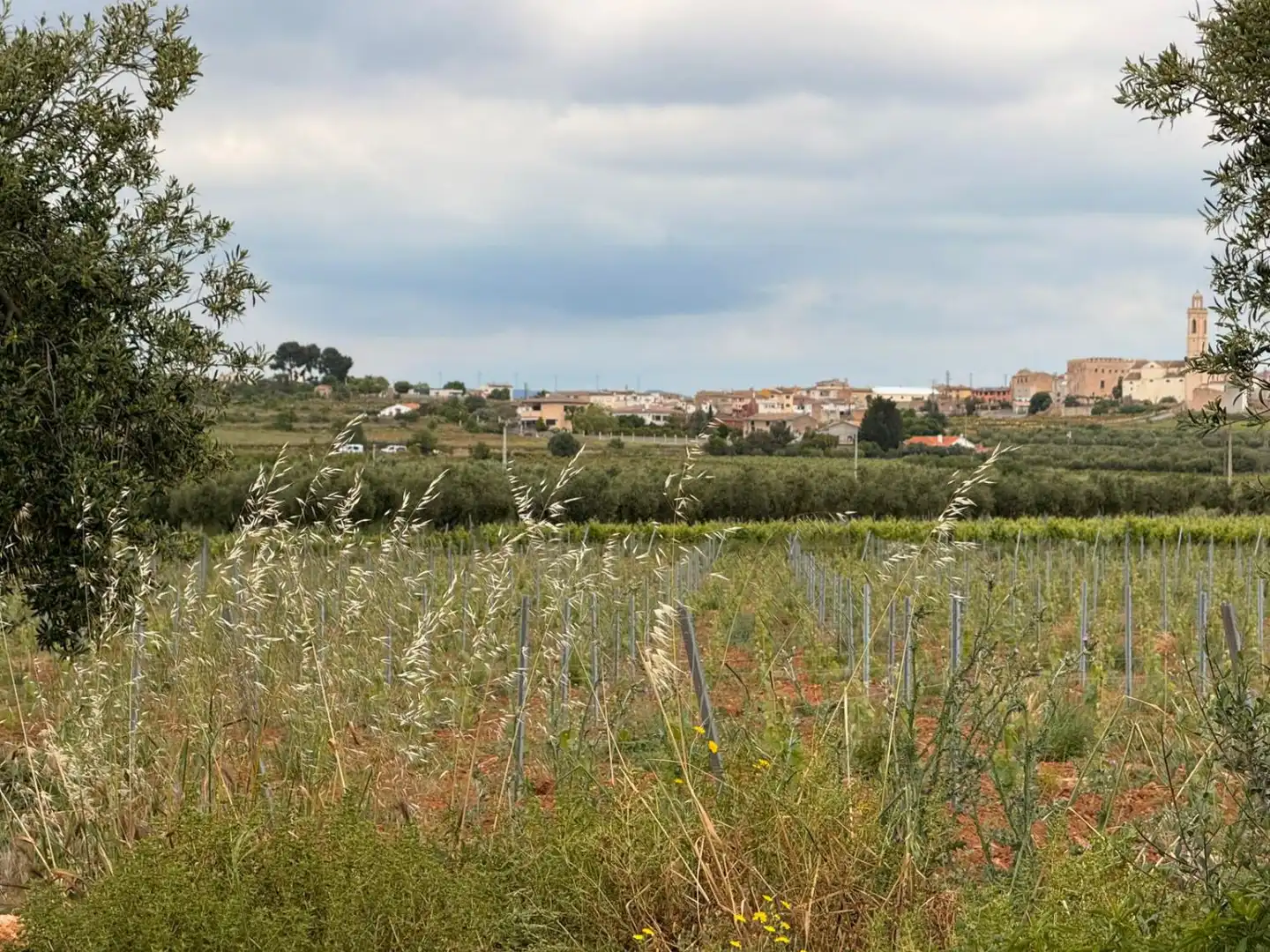 Casa rustica in vendita a Masllorenç, imagen 2