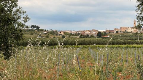 Finca Rúst. en venta en Masllorenç., imatge 2