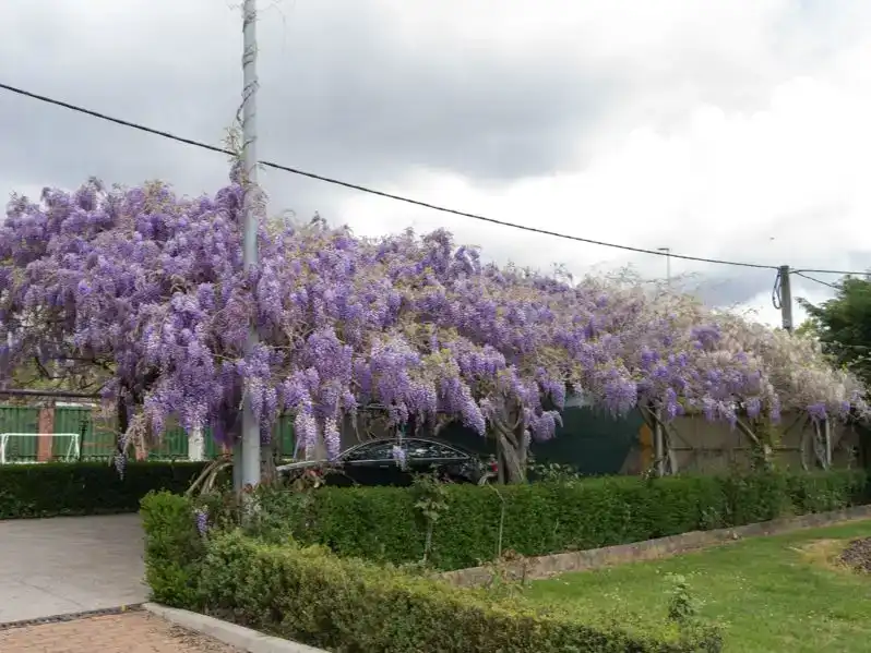 Jardí de Casa o xalet en venda en Ponferrada amb Piscina i Balcó