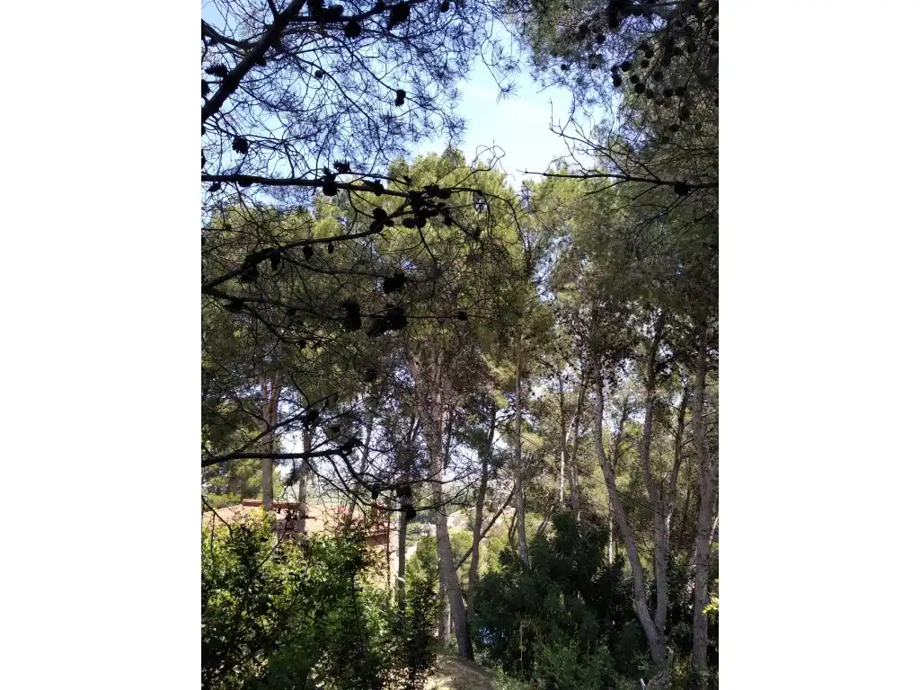 Jardín de Residencial en venta en Potries
