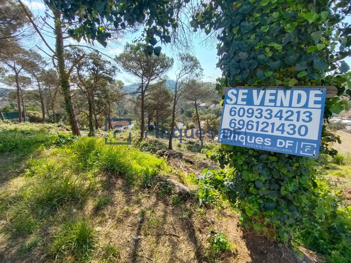 Terrenos y solares en venta en Garriga 21, imagen 3