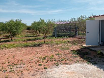 Terreny en venda en Alcàsser