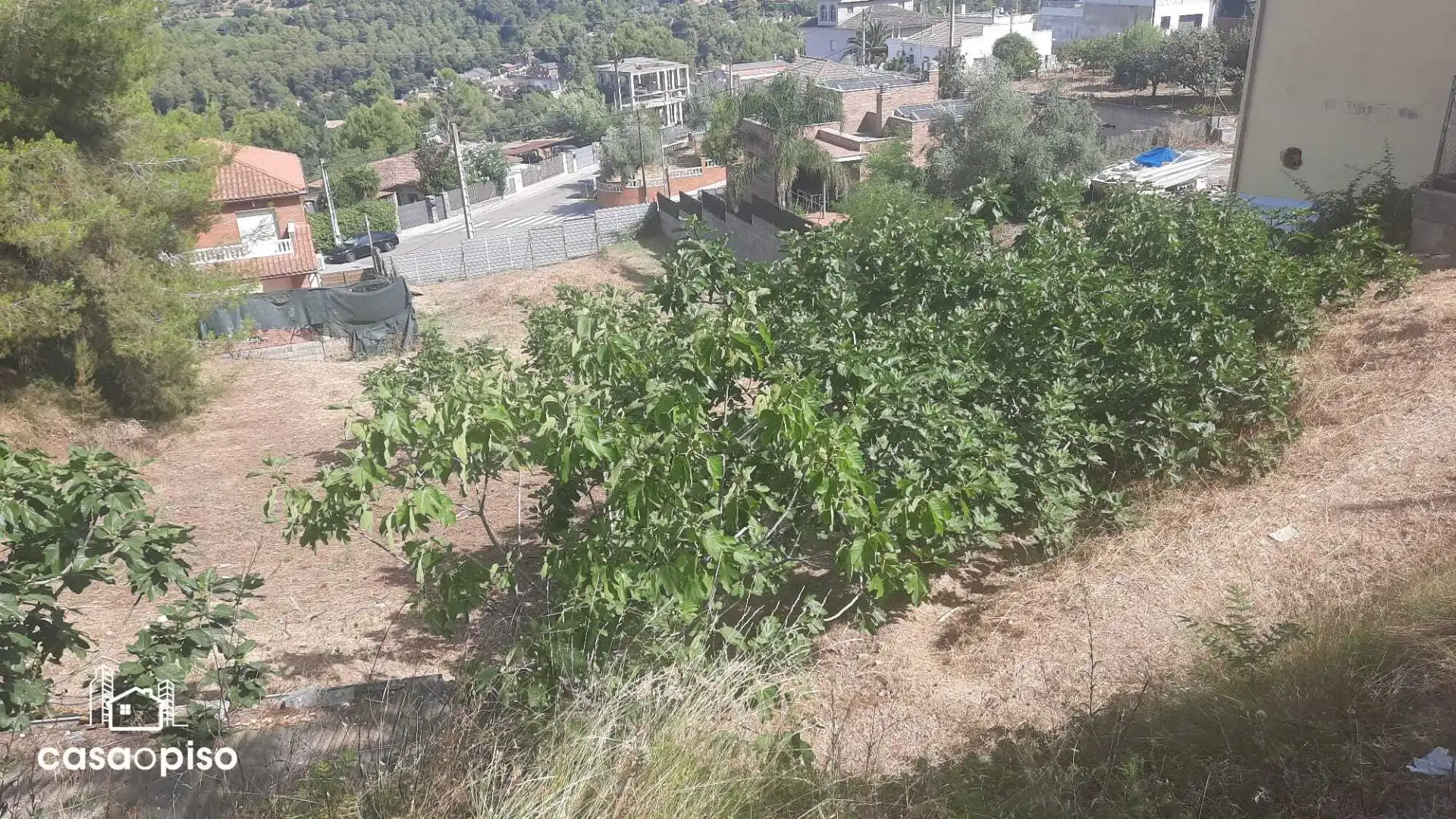Lands and plots for sale in falciot, imagen 3
