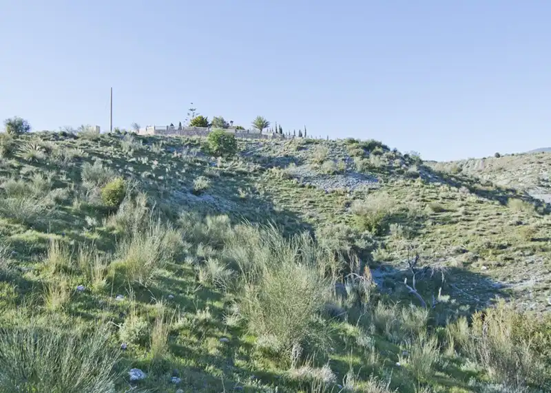 Rustikales Grundstück zum Verkauf in Los Tablones - La Garnatilla, imagen 7