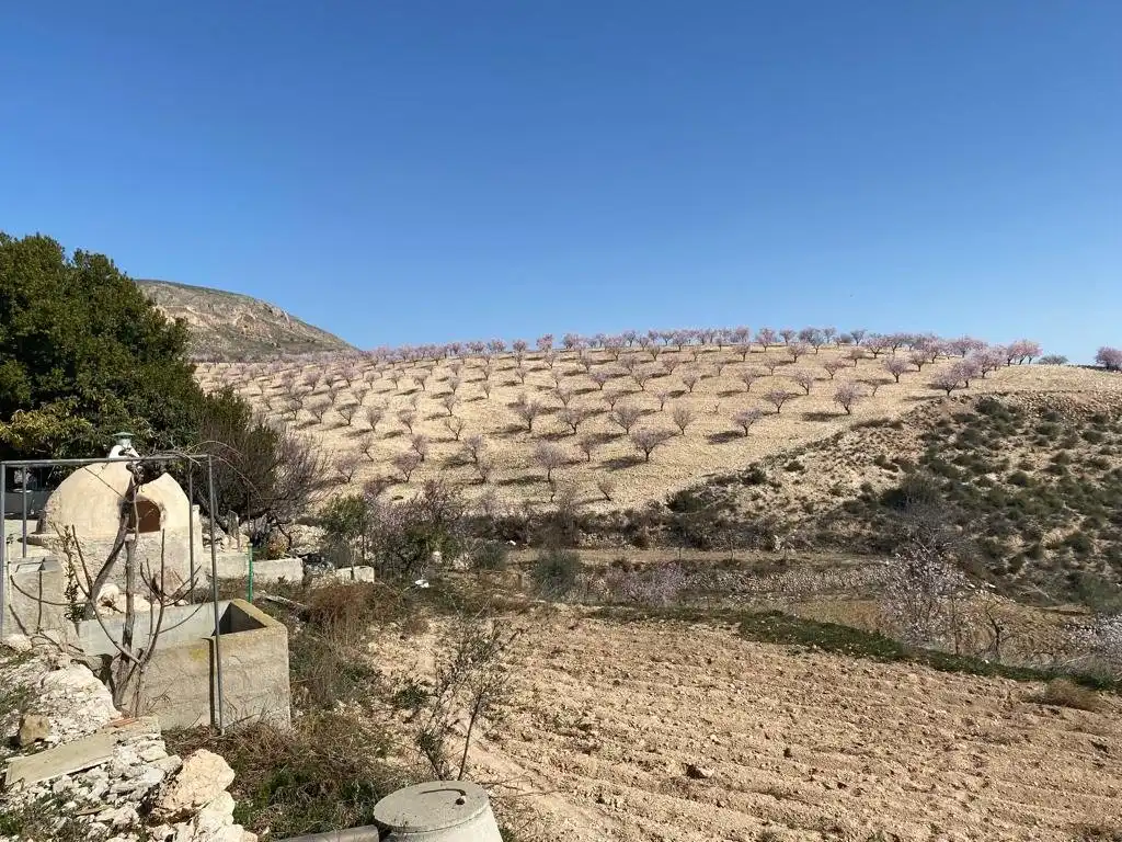 Finca rústica en venta en Lorca con Terraza