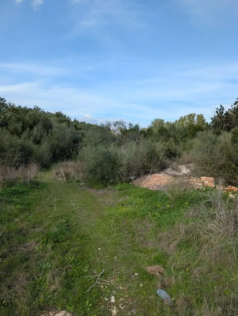 Terrain rustique à vendre à Sineu, imagen 8