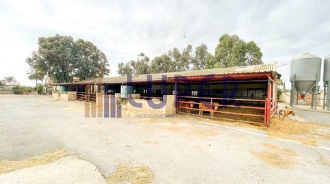 Foto 5 de Finca rústica en venta en Pla de la Vallonga, Alicante