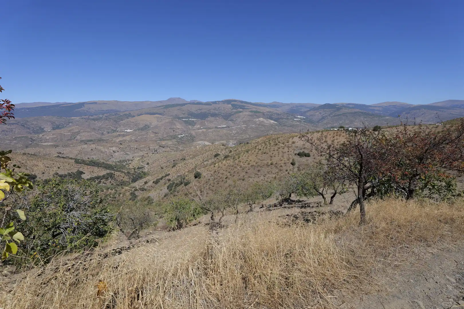 Finca rústica en venta en Cádiar