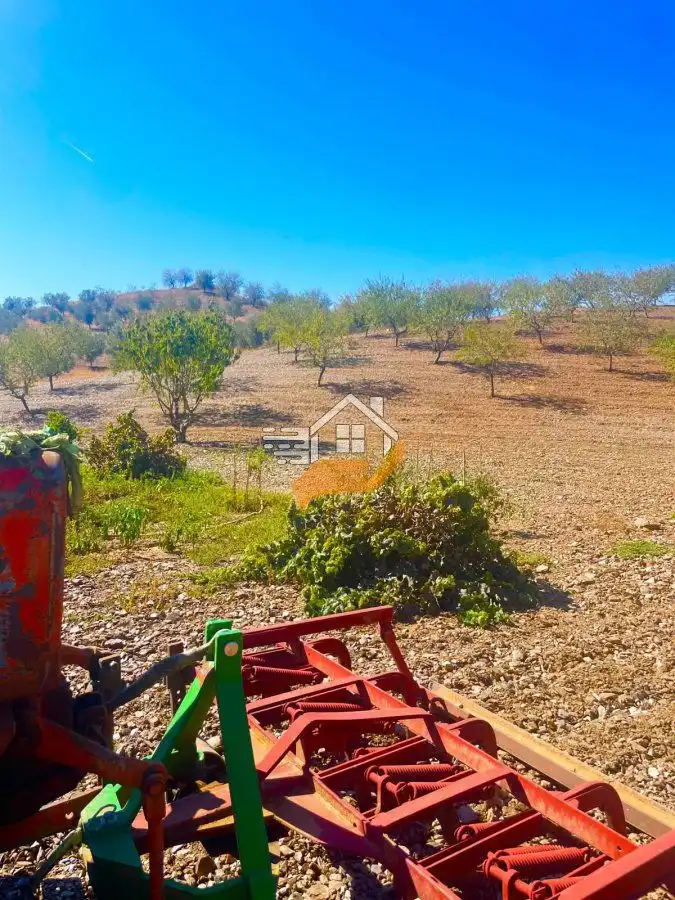 Finca rústica en venta en Lorca