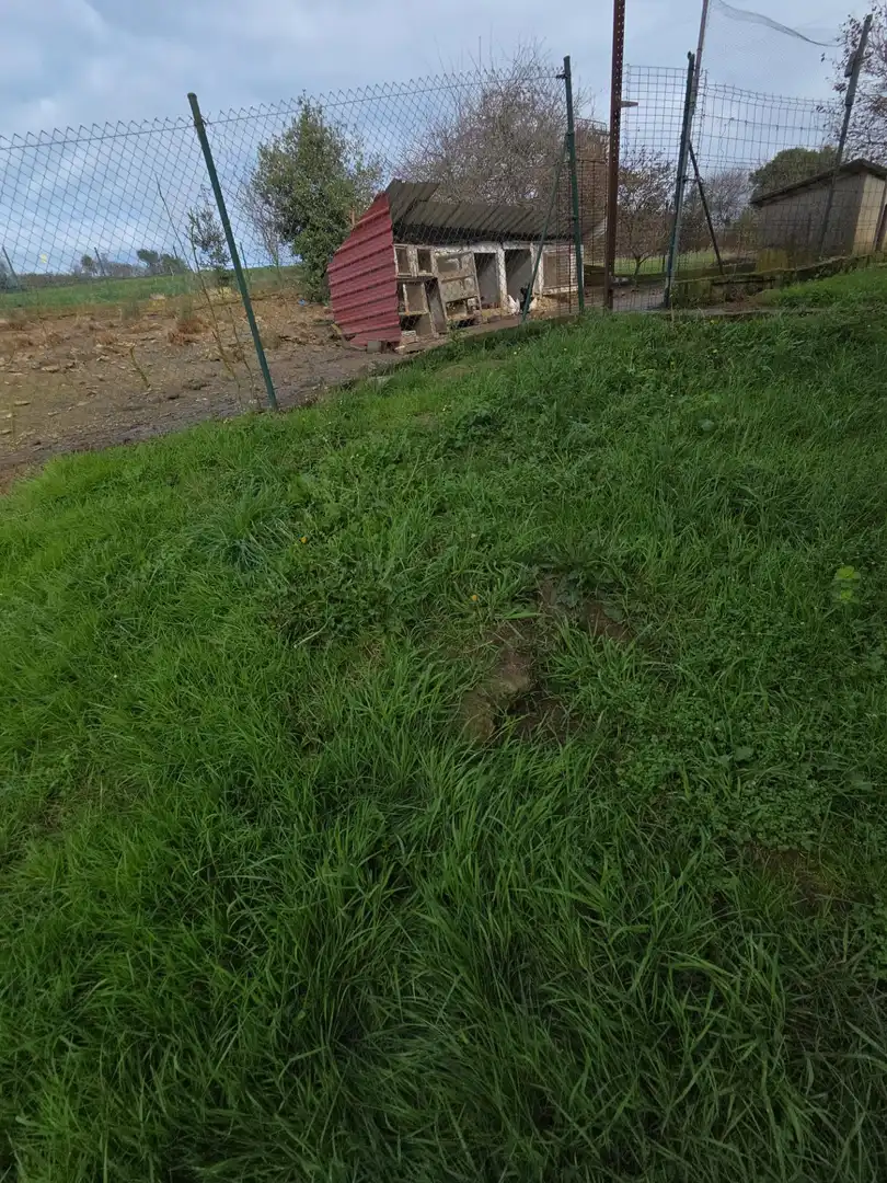 Terreno en venta en Carreño