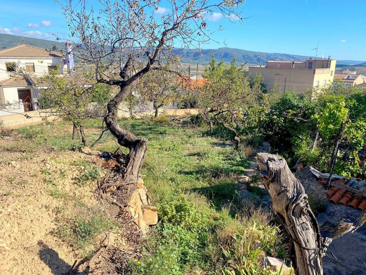 Casa con jardín en venta en La Font de la Figuera, imagen 28