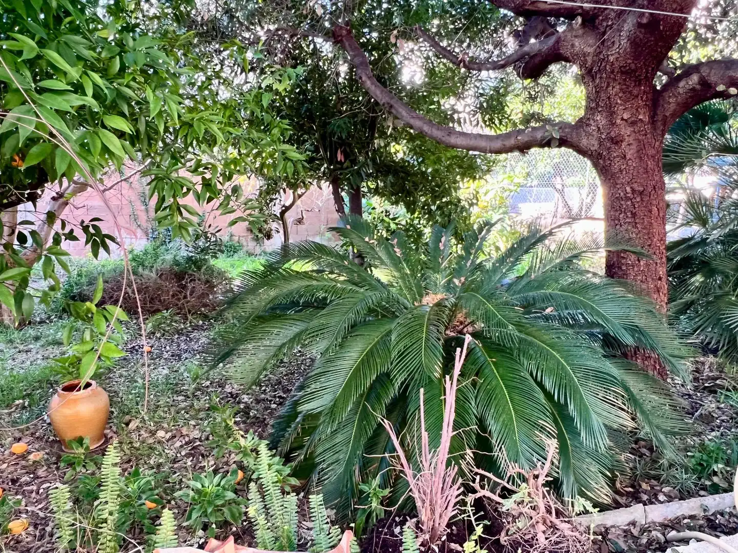 Jardín de Casa o chalet en venta en Selva