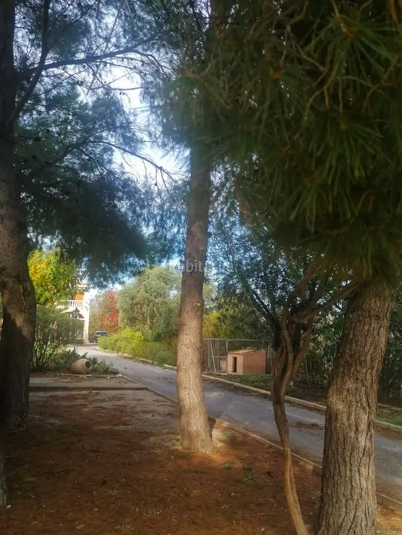 Wohnung mit Pool zum Verkauf in Carrer del Cirerer 9, imagen 20