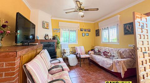 Photo 3 of House or chalet for sale in Cerro del Pico S/n, Alhabia, Almería