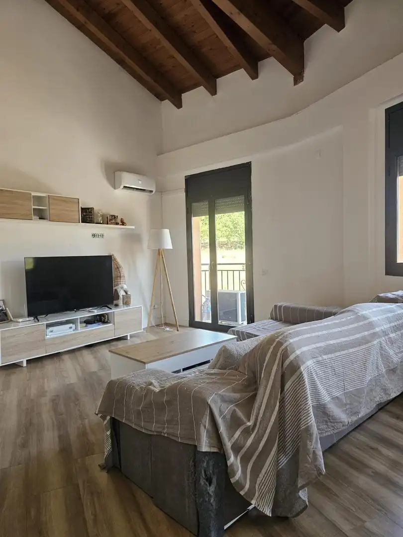 Sala de estar de Dúplex en venta en La Torre de Claramunt con Aire acondicionado, Calefacción y Parquet