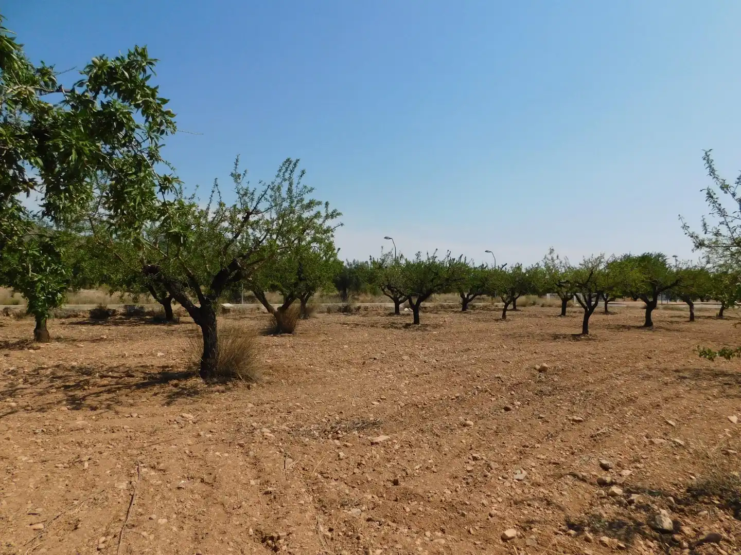 Residential land for sale in Carretera Carretera Llano de Béjar 5, imagen 11