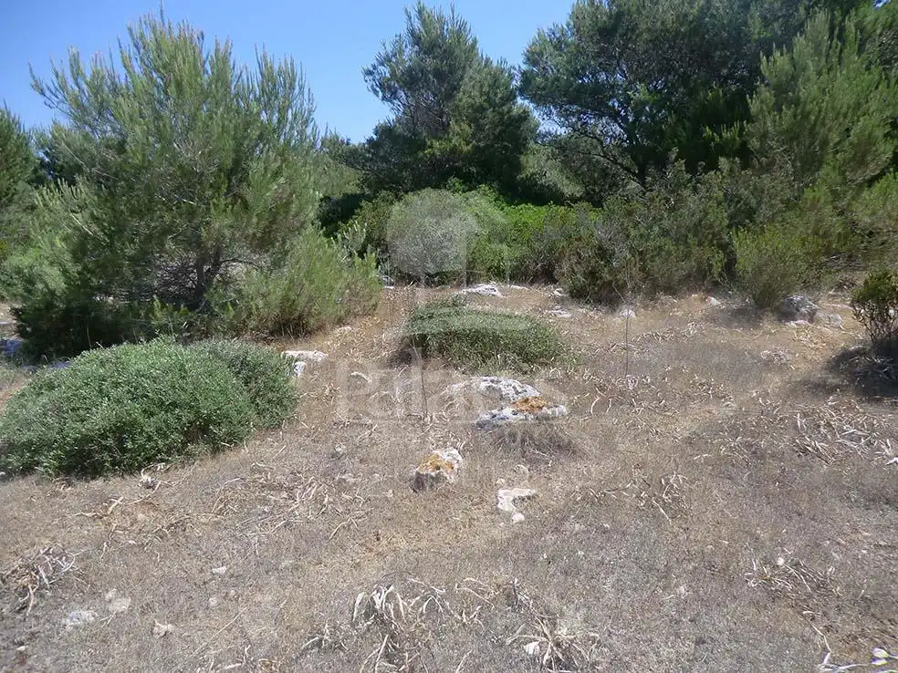 Terreno en venta en Ciutadella de Menorca