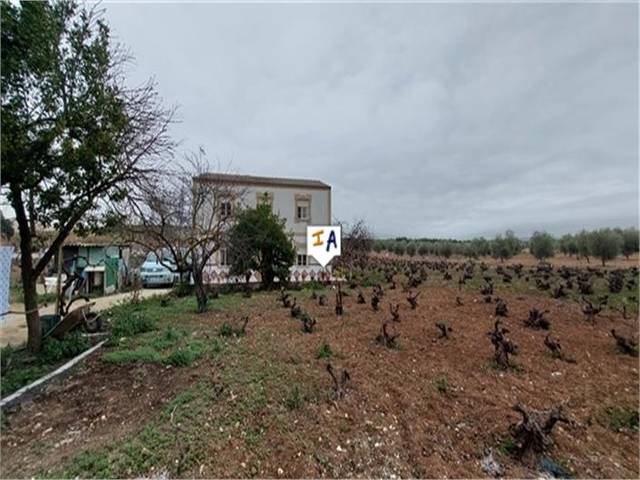 Finca rústica en Venta en Monturque