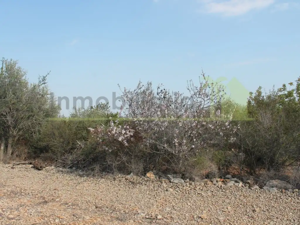 Rural land for sale in Poligono Poligono 50, imagen 12