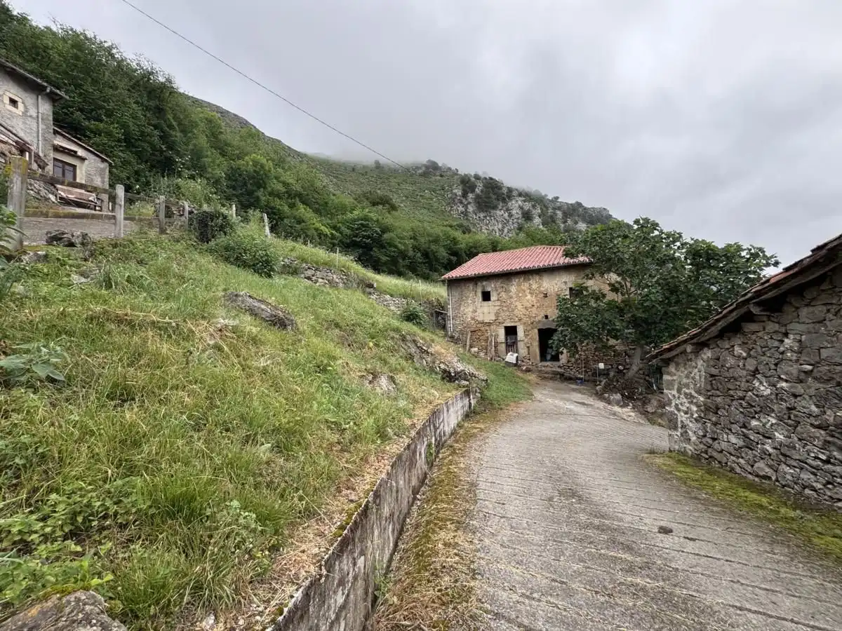House for sale in Peñamellera Alta, imagen 6