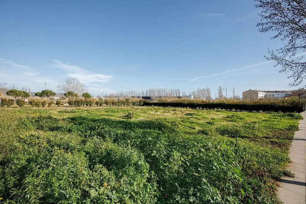 Terreny residencial en venda a Carrer Passatge del Pla de Vall, imagen 5