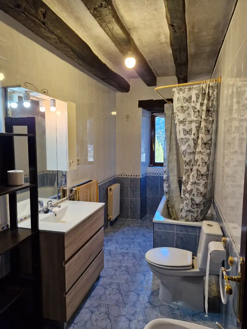 Bathroom of Houses for rent in Orozko  with Heating, Private garden and Storage room