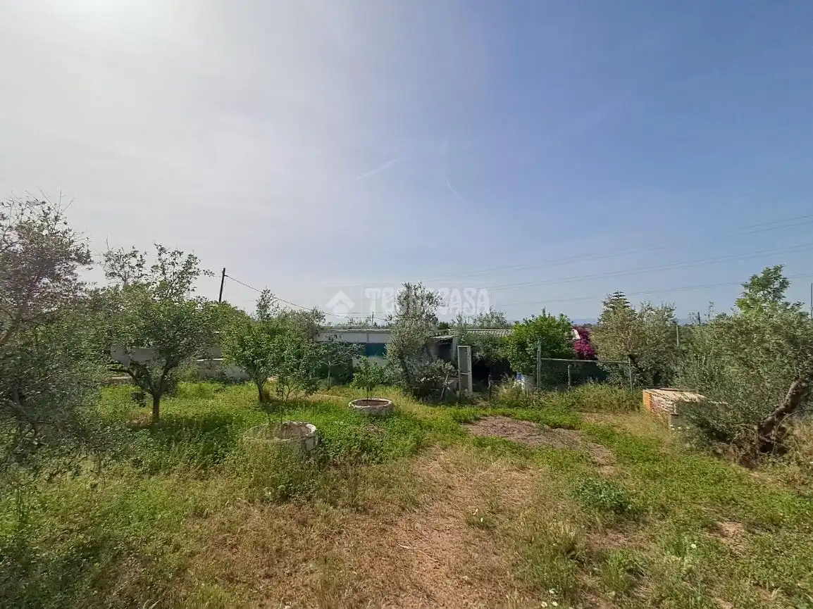 Finca rústica en venta en Carmona