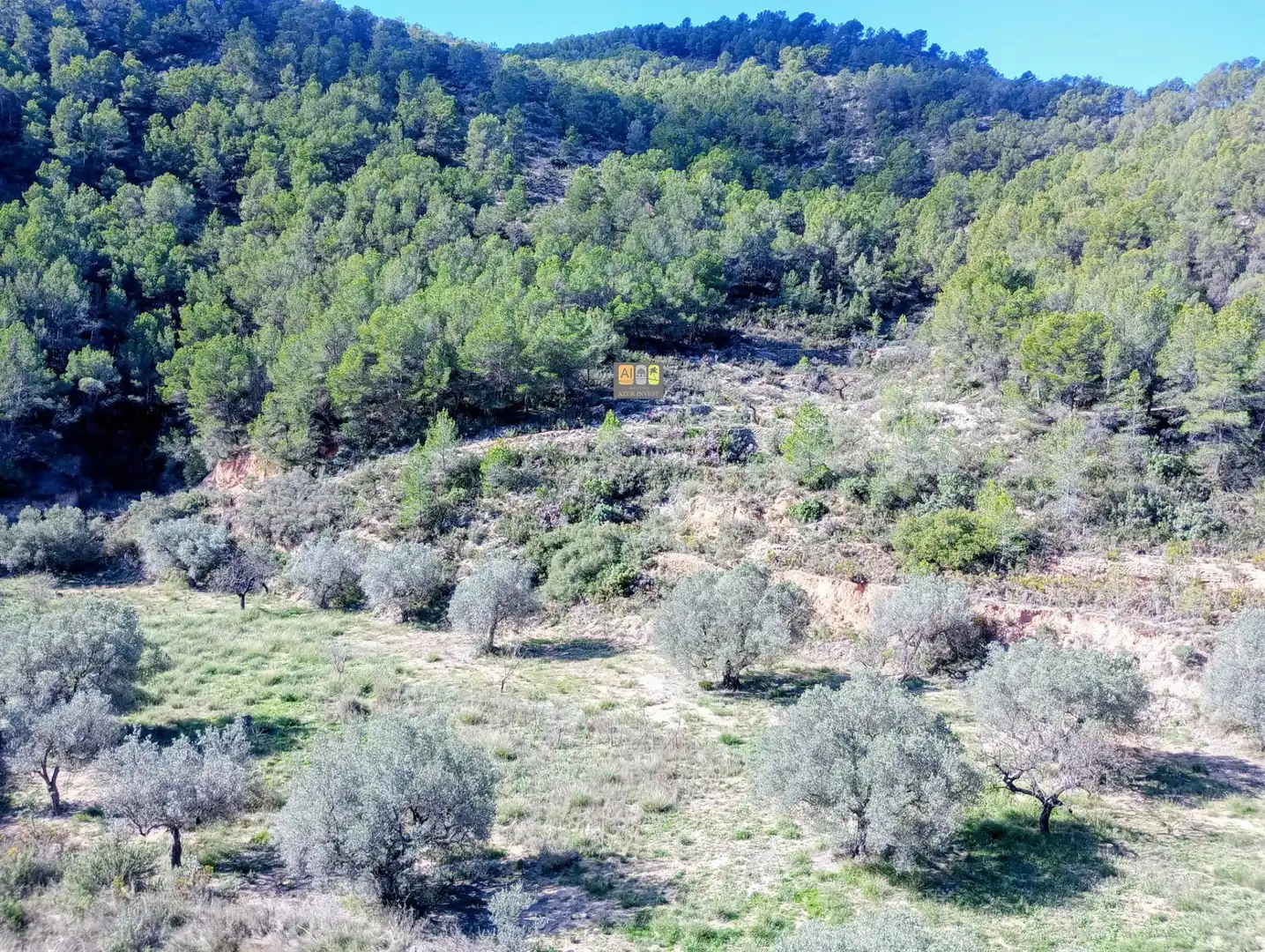 Terreny rústic en venda a Partida Racó De Rei, imagen 18