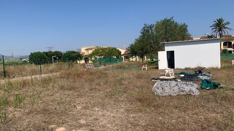 Foto 3 de Residencial en venda a Urbanizacion de Devesa, 17, Oliva Nova, Oliva