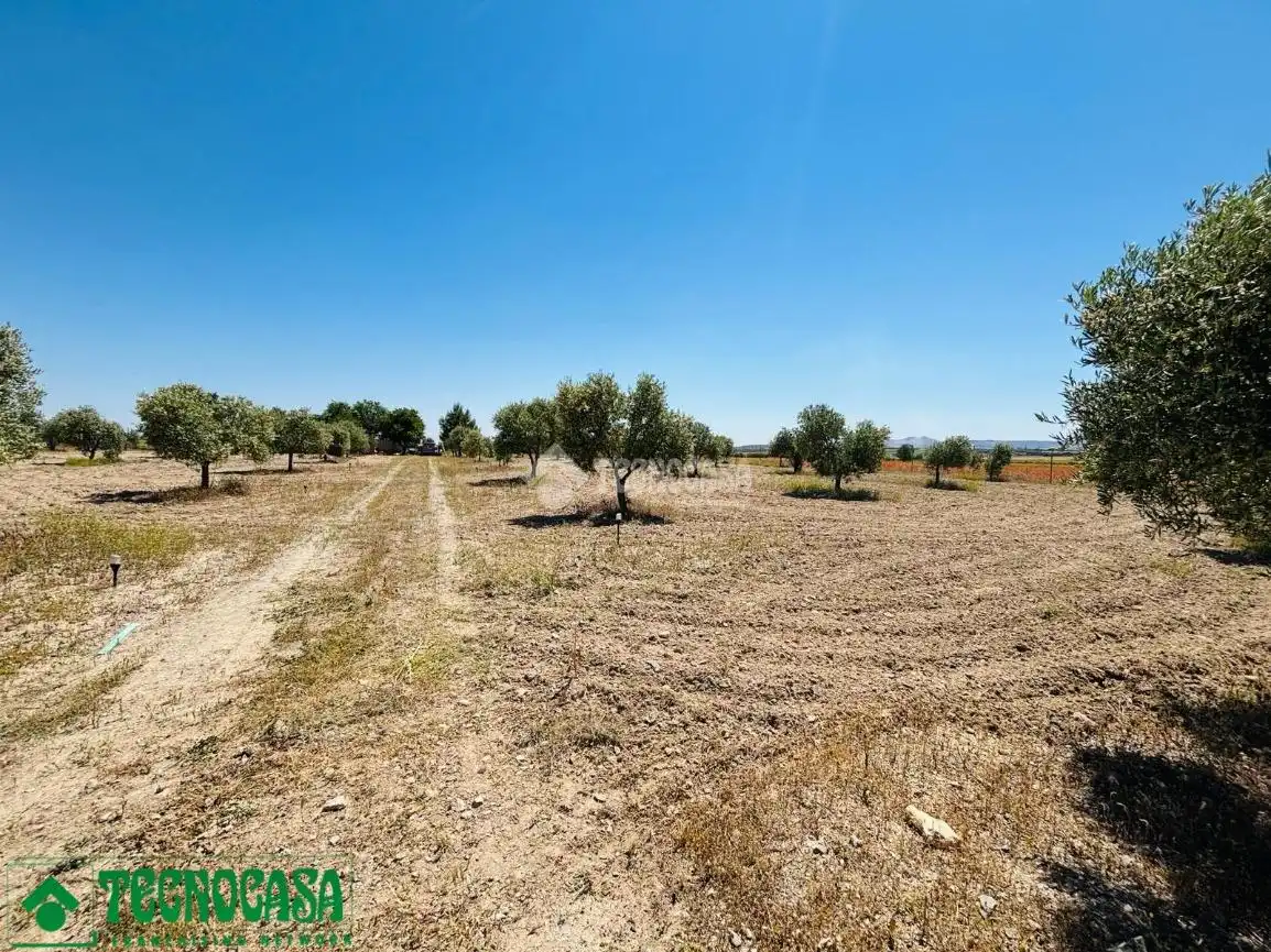 Land for sale in Mascaraque