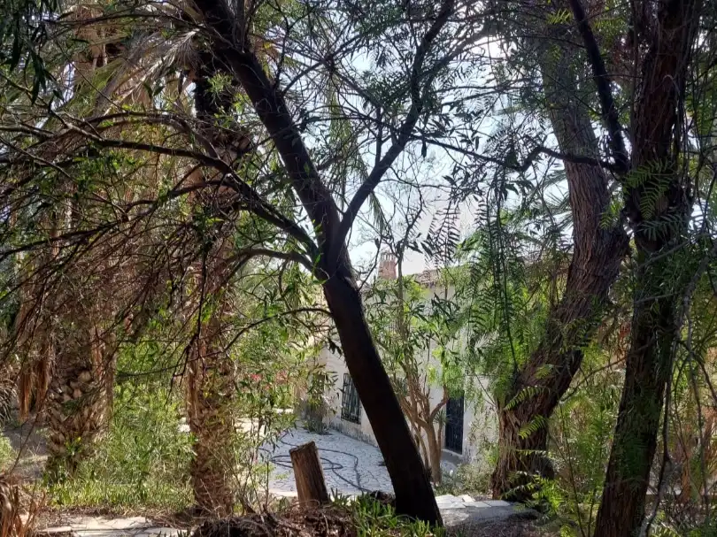 Vista exterior de Finca rústica en venta en Partaloa, Almería