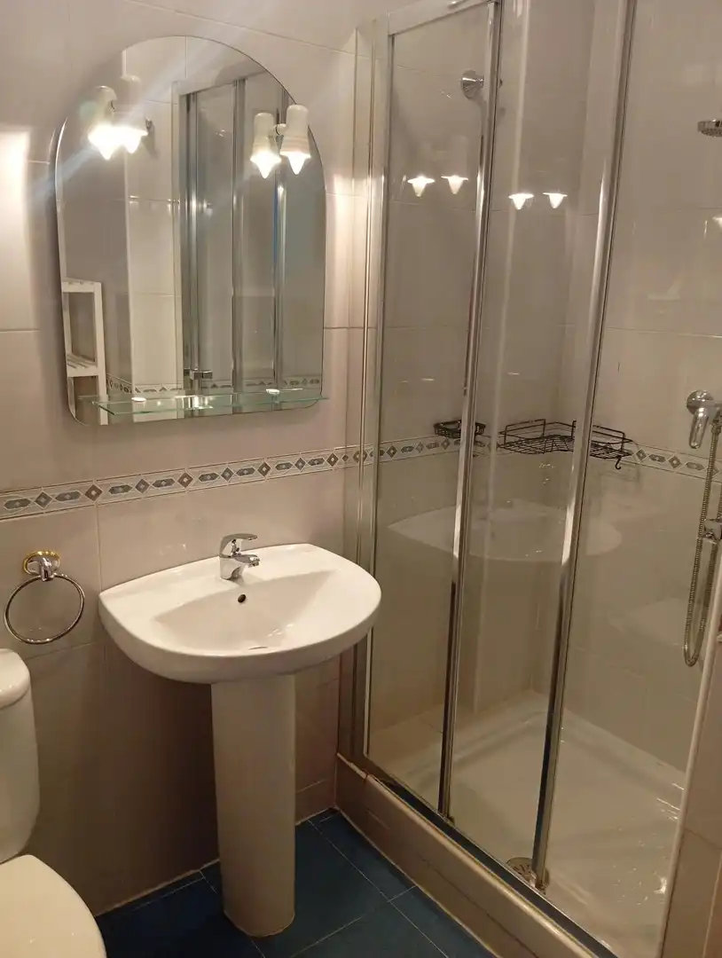 Bathroom of Flat for rent in Centro