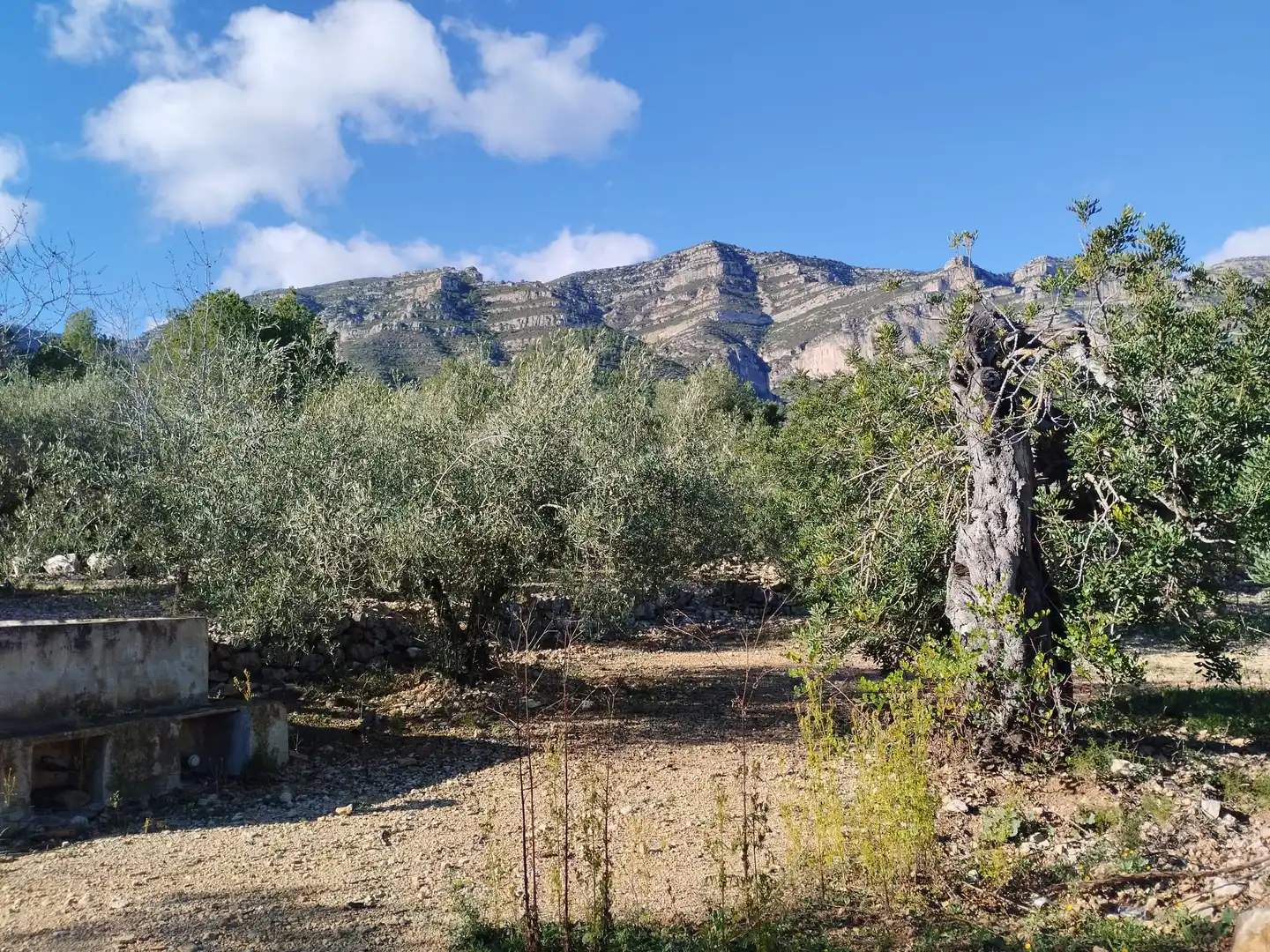 Terreno rustico in vendita a Carrer Camí del Llop 46, imagen 2