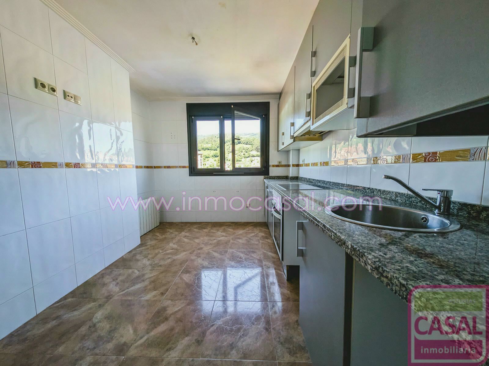 Kitchen of Flat for sale in Mieres (Asturias)  with Heating, Storage room and Furnished