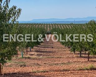 Finca rústica en venda en Utiel amb Aire condicionat, Calefacció i Terrassa