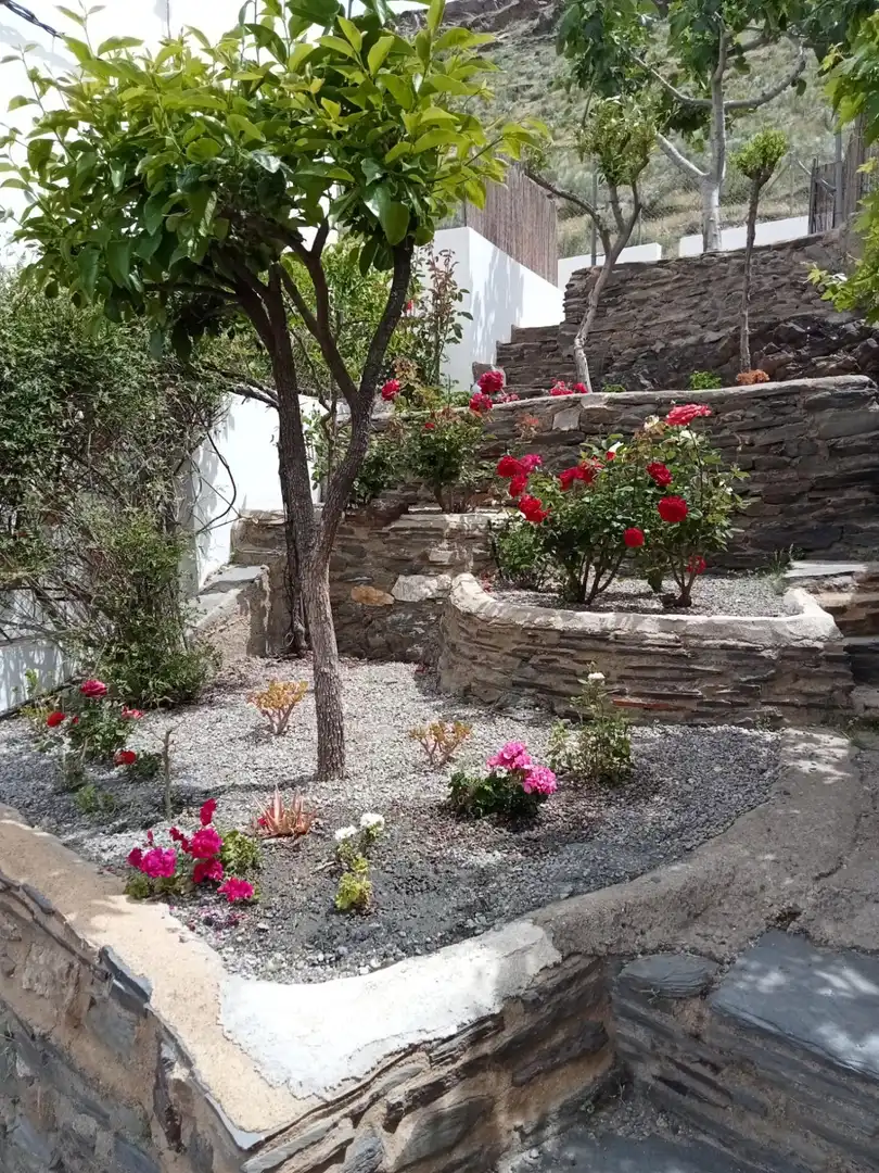 Jardí de Pis en venda en Velefique amb Aire condicionat, Calefacció i Terrassa