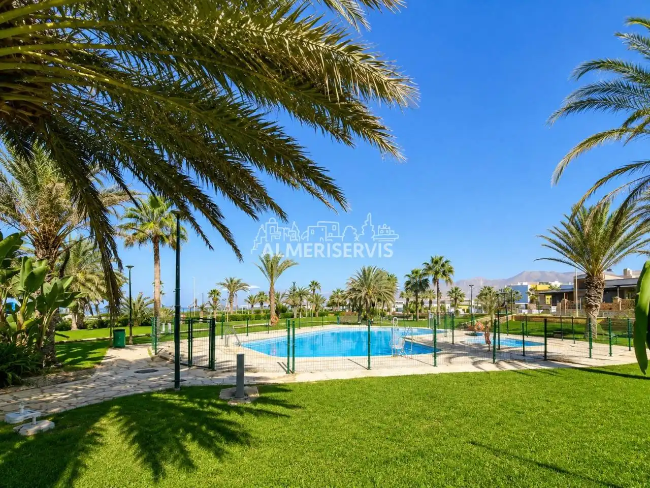 Swimming pool of Apartments for sale in El Ejido  with Terrace and Community pool