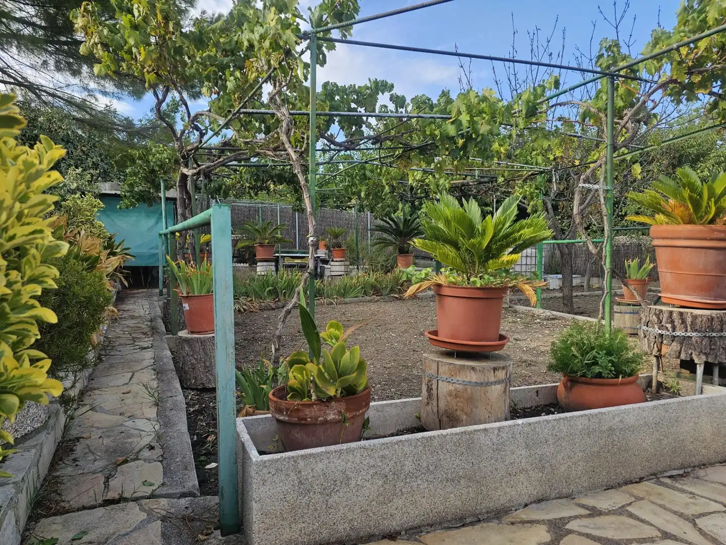 Casa amb jardí en venda a Carrer Carrer Margarida, imagen 2