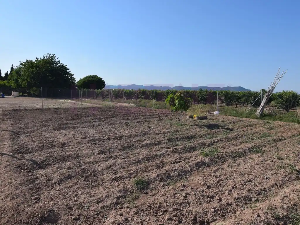 Terreno rustico in vendita a Poligono Poligono Numero 7, imagen 2