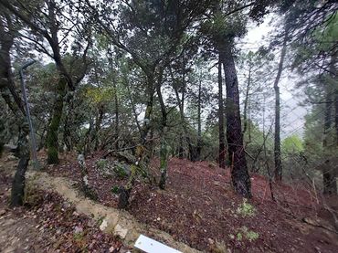 Terreno rustico in vendita a Renfe - Bulevar 1ª y 2ª Fase