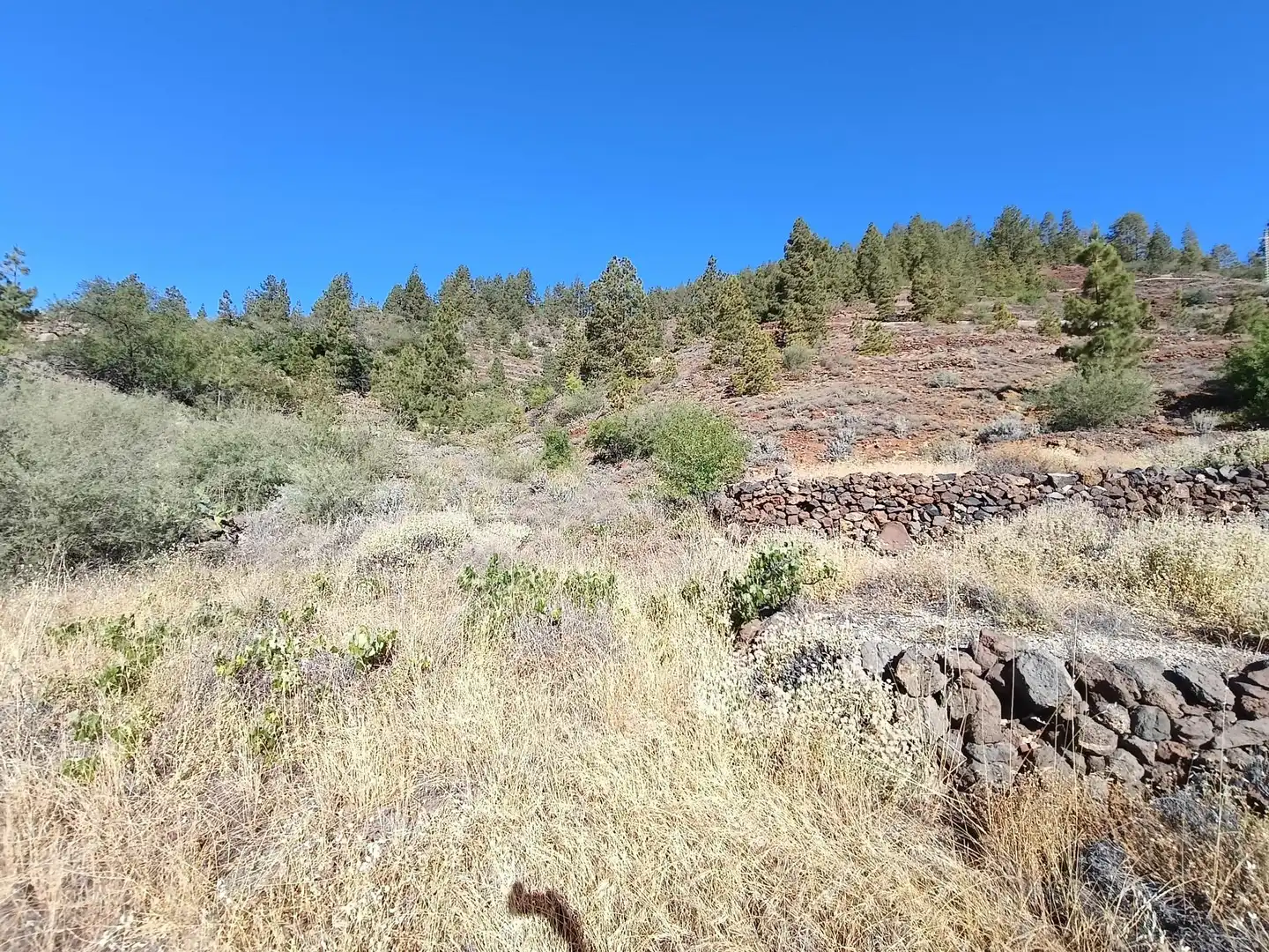 Terreno rústico en venta en M\A LIRIOS. VILAFLOR DE CHASNA [S.C. TENERIFE], imagen 2