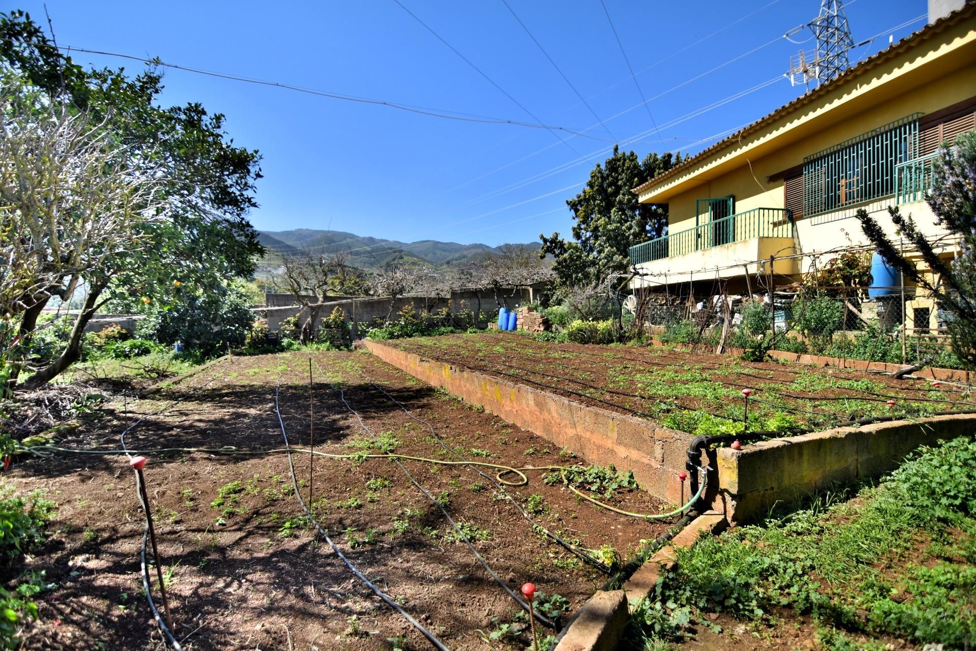 Finca rústica en venta en Vega de San Mateo con Jardín privado y Terraza