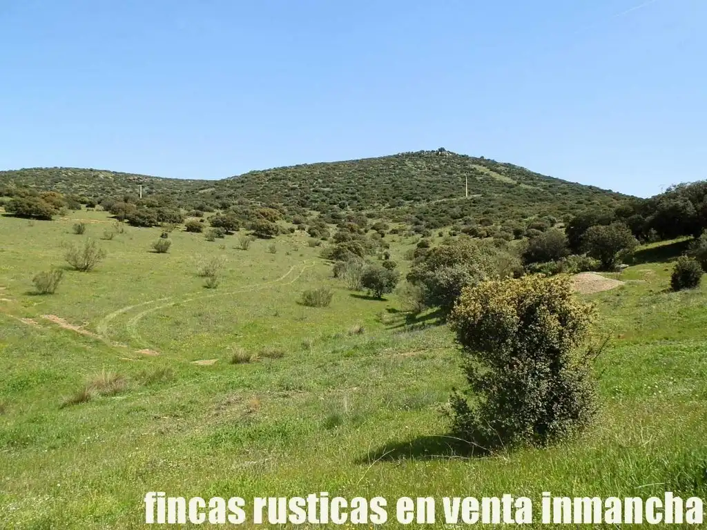 Rural land for sale in Calzada de Calatrava, imagen 4