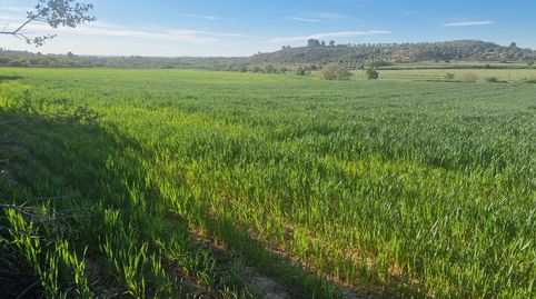finca en venda a les Borges Blanques, sitauada a la zona de regadiu, dotació plena Segarra Garrigues, immagine 4
