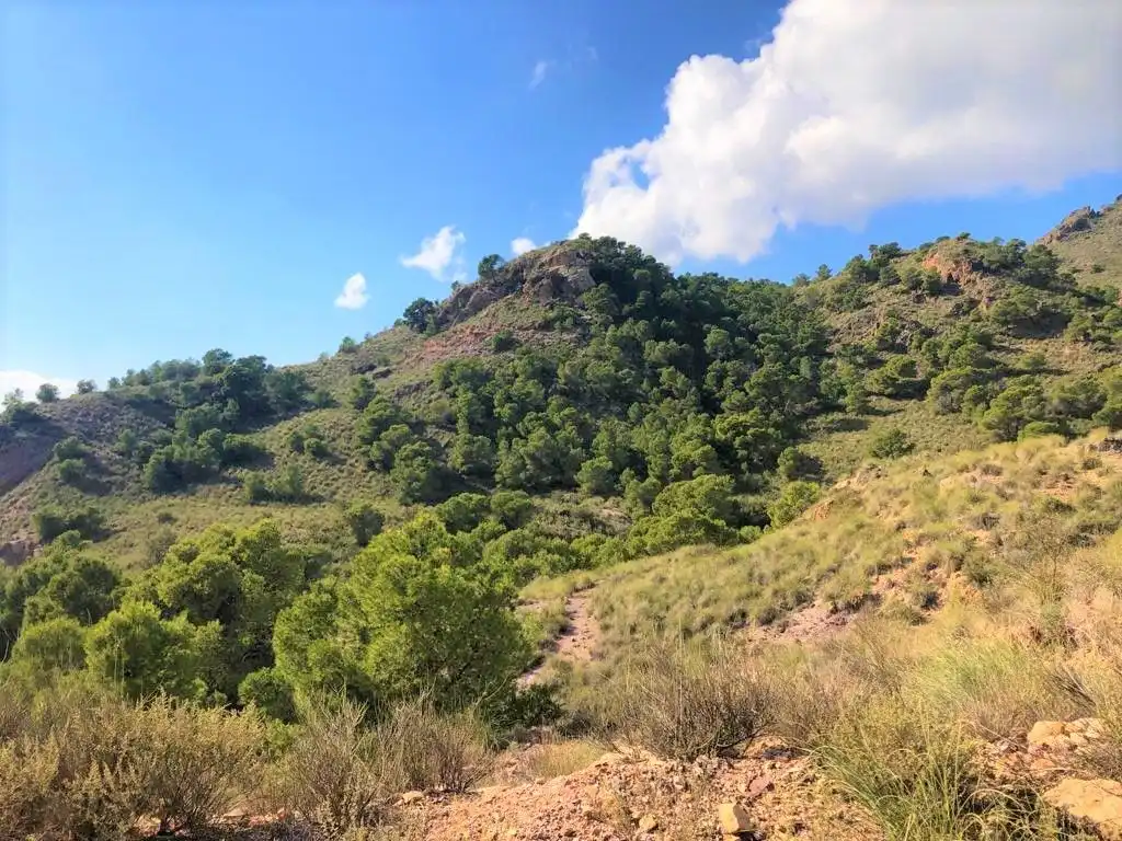 Terreno rustico in vendita a Lorca 0, imagen 6